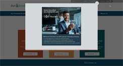 Desktop Screenshot of dnb.co.in